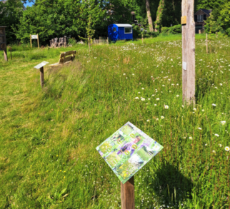 Der Nabu-Garten am Calvin Haus in Lingen