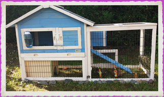 Buffy & Bahia in ihrem neuen Zuhause