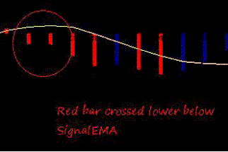 Forex Bliz