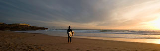  missiontosurf.at