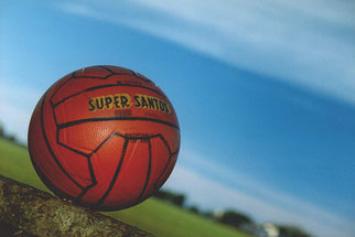 Super Santos