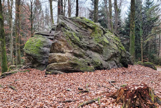 Der «Heidenstein» im Längholz, grösster erratischer Block des Madretschwaldes.