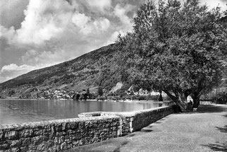 Bielersee und Strandboden. Foto: Postkartensammlung der Stadtbibliothek Biel.