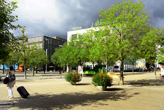 Der Robert Walser Platz in Biel