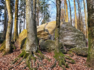 Der Heidenstein im Wald von Madretsch