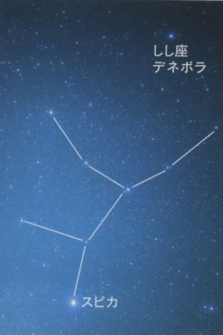 スピカ 星座