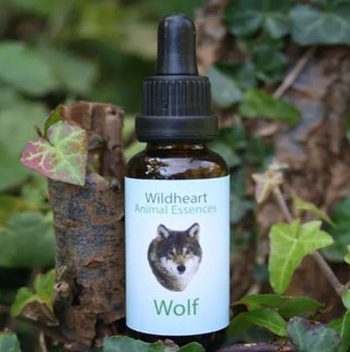 30ml - CHF 28.00