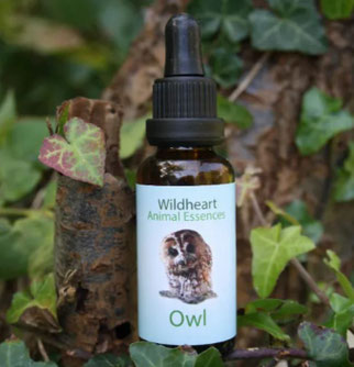 30ml - CHF 36.00