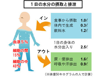 重量物作業での腰痛防止