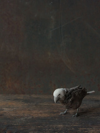 水田典寿 2015.05 - YUKIKOKIKUCHI