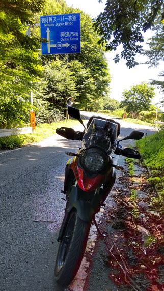 P-04 スーパー林道を示す青看板