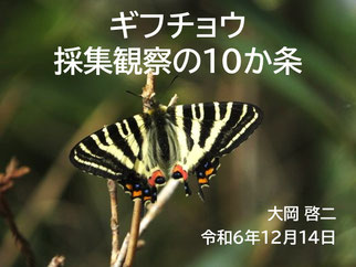 卓話資料のダウンロード（PDF形式）