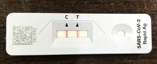 抗原検査「陽性」