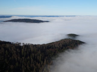Depuis le massif du Brézouard, Alsace (photo Ugo)
