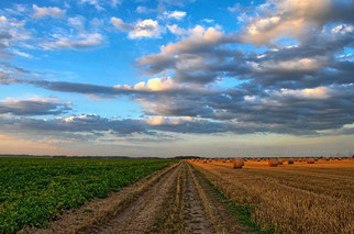 Landwirtschaft Himmel Felder Wolken