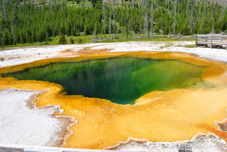 Geysire im Yellowstone bei der mietwagenreise im Westen der usa 
