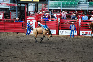 Rodeo bei der mietwagenreise durch den süden der usa