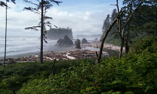 Strand am Pazifik bei der mietwagenreise usa nordwesten
