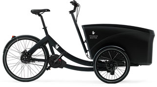 Triobike Boxter E Cargo e-Bike 2020