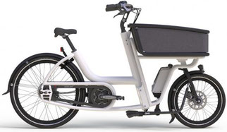 Urban Arrow Shorty 2019