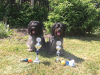 Iskan (l) und Jane (r)