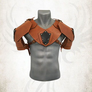 Armure cuir