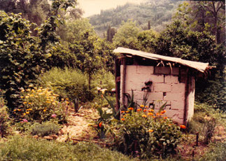 Unser Toilettenhäuschen mit Blumenbeet