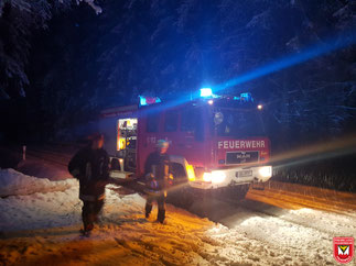 Einsatz 02/2018 - Baum über Fahrbahn