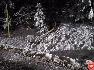 Einsatz 04/2018 - Baum über Fahrbahn