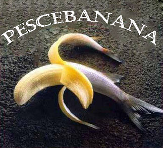 Pescebanana
