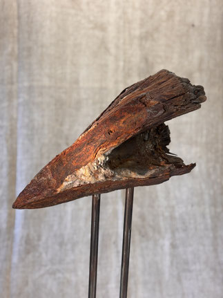 Wolfgang Wallner Kraftobjekte und Skulpturen, Hall in Tirol, bird of prey, Skulptur