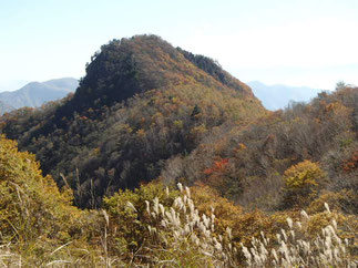 山梨百名山　登山　ガイド