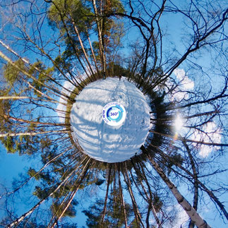 vom verschneitem Wald