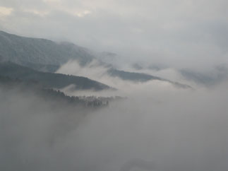 降雪後の氷ノ山を霧が覆い幽玄な景色に。