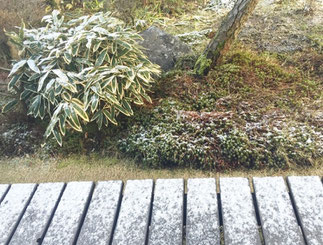 3月の雪