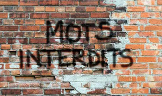 Sur un mur de briques l'inscription "mots interdits"