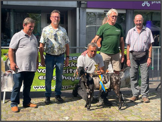 Sultan v/h Duivelsbos - Belgisch Kampioen Alle Rassen - Wilrijk 2025