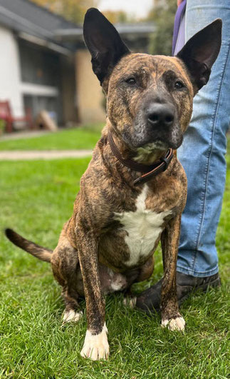 Caesar