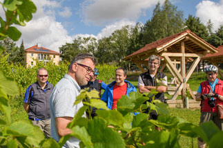 Im Weinberg bei Weimar