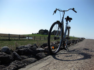 Radfahren, Inlineskaten, Surfen, Kiten. Auch für Sport ist Hallig Hooge mit der salzhaltigen Luft bestens geeignet!