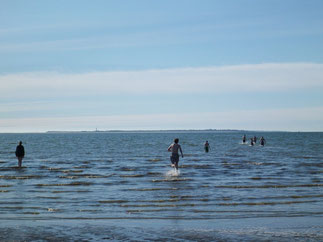 Nur 2 Gehminuten entfernt von Volkertswarft könnt Ihr in der Nordsee baden. 