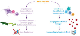 Diagnostik Potsdam