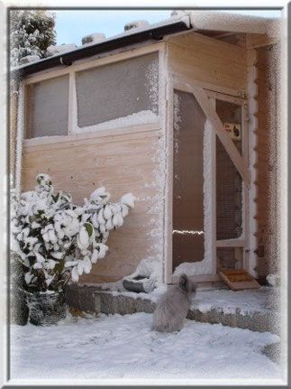 Im Winter wird das überdachte Außengehege mit Plexiglasscheiben wetterfest gemacht. Somit haben es die Teddys auch bei Regen, Schnee und Wind gemütlich