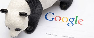 パンダアップデートなど最近のGoogleについての説明
