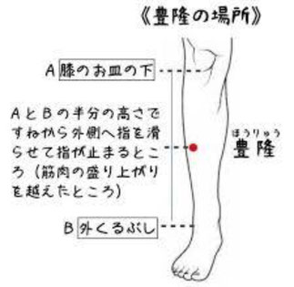 接骨院、東戸塚、セントラル、鍼灸