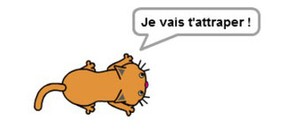 Jeu Du Chat Et De La Souris Cf Chamayou Technologie College Leognan Jeu Du Chat Et De La Souris Cf Chamayou Technologie College Leognan