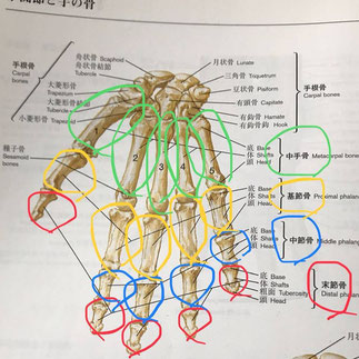 小牧　鍼灸　鍼治療　自律神経　腰痛　頭痛　肩こり