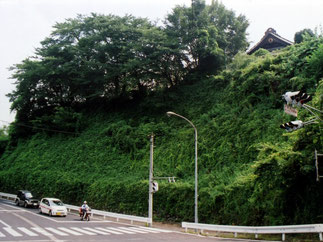 夏の深緑　(群馬県内)