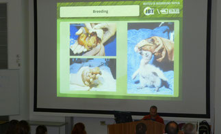 Andrés Capdevielle. Conférence à l'Université du Sussex (Royaume-Uni) sur le Condor des Andes (Sur la photo montrant des expériences avec le Condor de Californie)