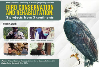 Detail of the first poster of the International Seminar of "Ornithology of Conservation" of Biotropical Institut in the United Kingdom